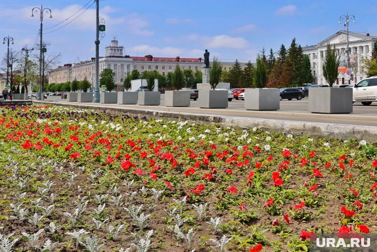 Курганские политики высказались о любви к своей малой Родине
