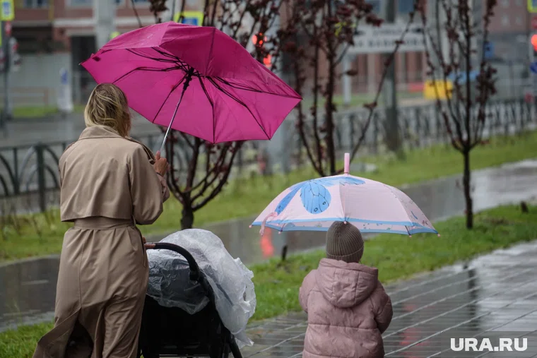 Днем свердловчан ожидает дождь