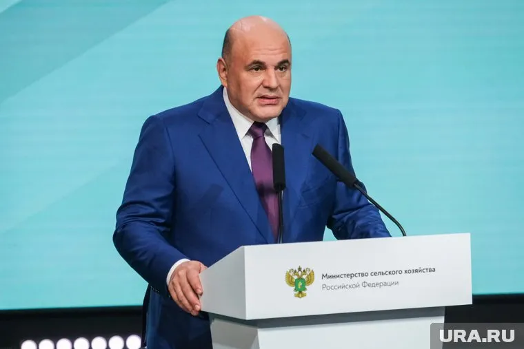 Михаил Мишустин обязал проверить образование кандидатов в президенты РФ в 2024 году