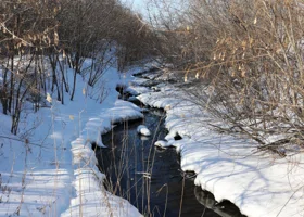 Синоптики обещают в ХМАО резкое потепление