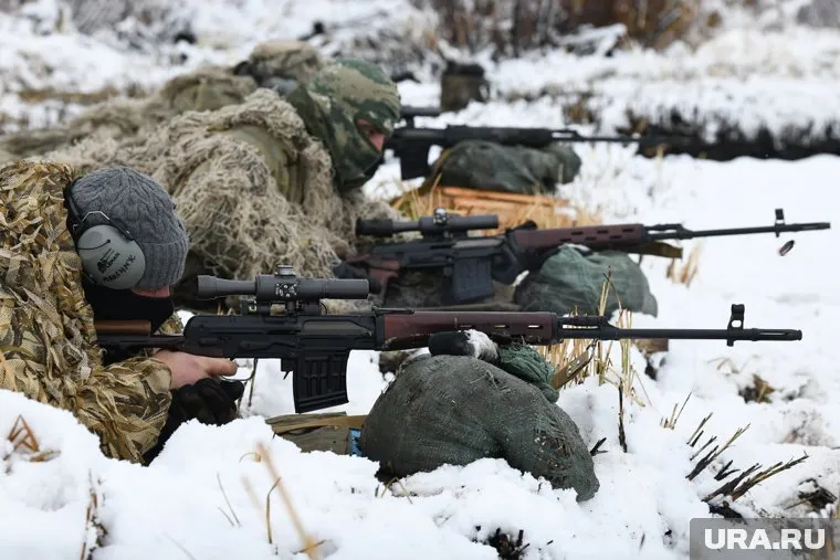Боец посоветовал брать в бой складные пилы, чтобы быстрее сделать маскировку из веток