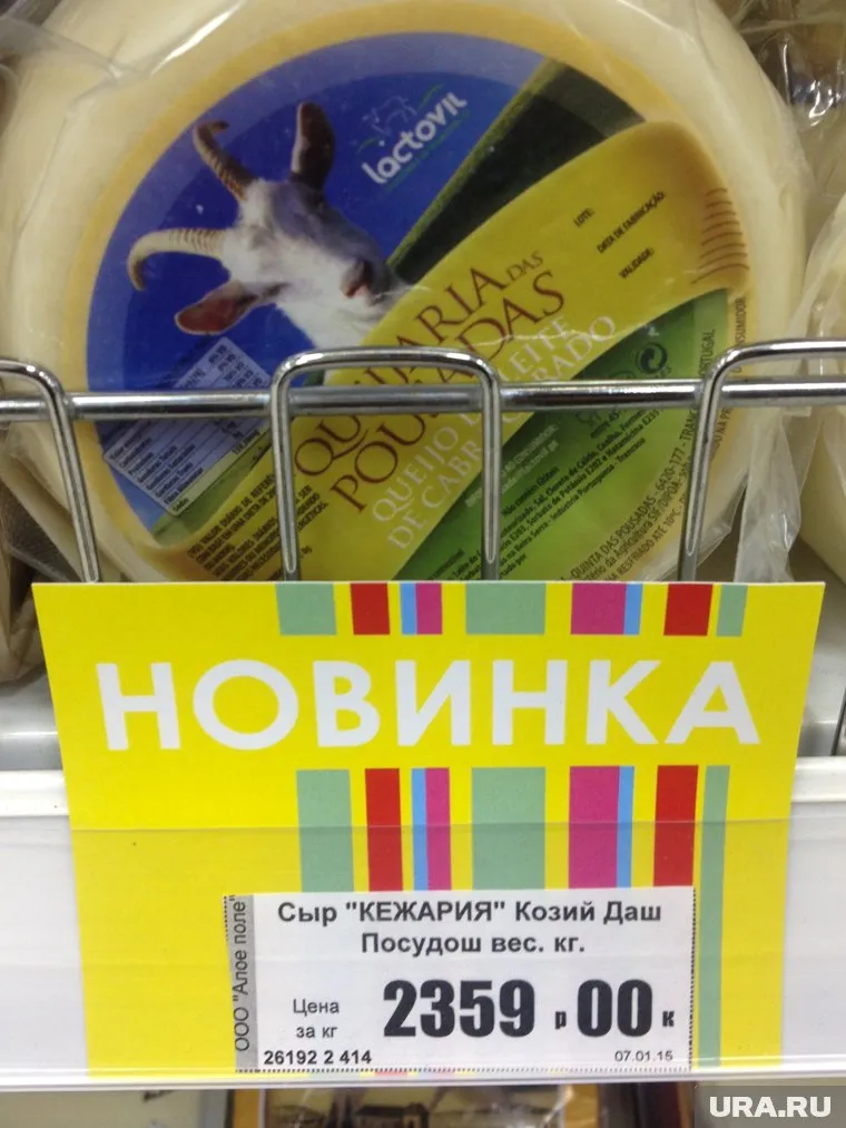 Свойства миасского сыра изучают ученые ЮУрГУ