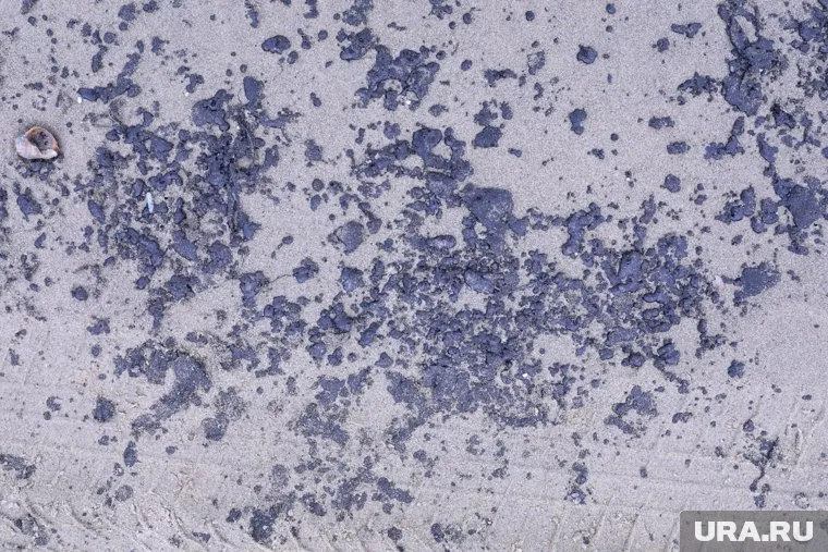 В ОАЭ произошел выброс нефти на пляж в эмирате Фуджейра, но жалоб на это не поступало, заявили в ассоциации «Турпомощь»