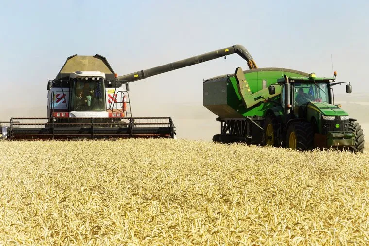 Уборка пшеницы на границе ДНР и Ростовской области. Ростов