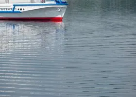 Фотография из галереи