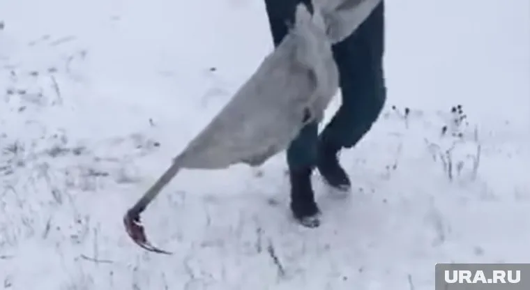 Странные действия спасателей засняли на видео