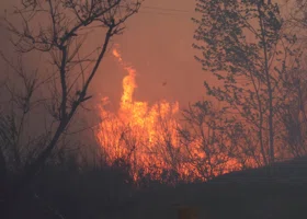 В Сургуте под обломками сгоревшего дома нашли труп мужчины