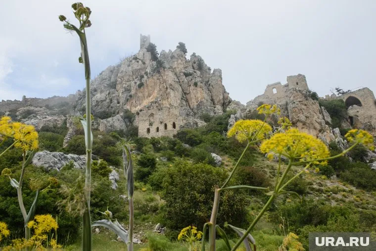 Поездки на Кипр возобновляются с 22 ноября