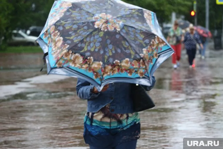 Дождь будет идти два дня с разной интенсивностью