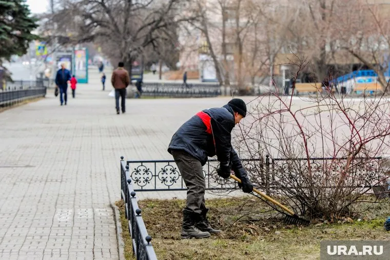 Юноше придется заняться общественными работами