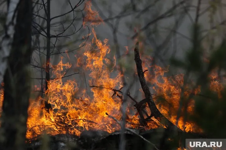 В Курганской области введут противопожарный режим