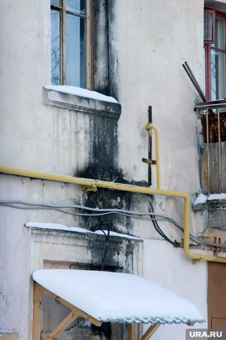 На Ямале жильцы многоквартирного дома дышат токсичными выделениями из-за плесени