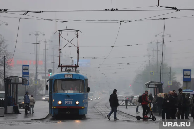 Что можно отметить 20 ноября 2025 года