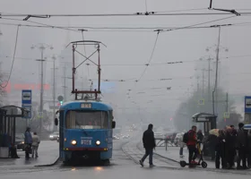 Какие праздники отмечают 20 ноября 2025: что можно и нельзя делать