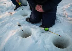 Пермяк похвастался уловом восьми судаков