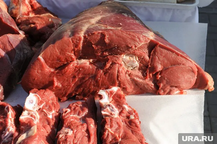 Ветеринарный врач незаконно добавлял мясо убойных животных