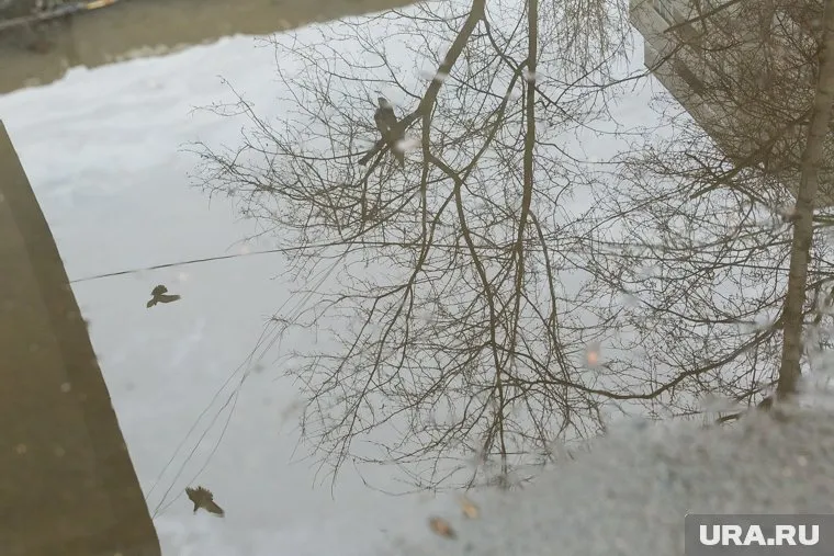 Из-за сильного дождя в городе образовались глубокие лужи