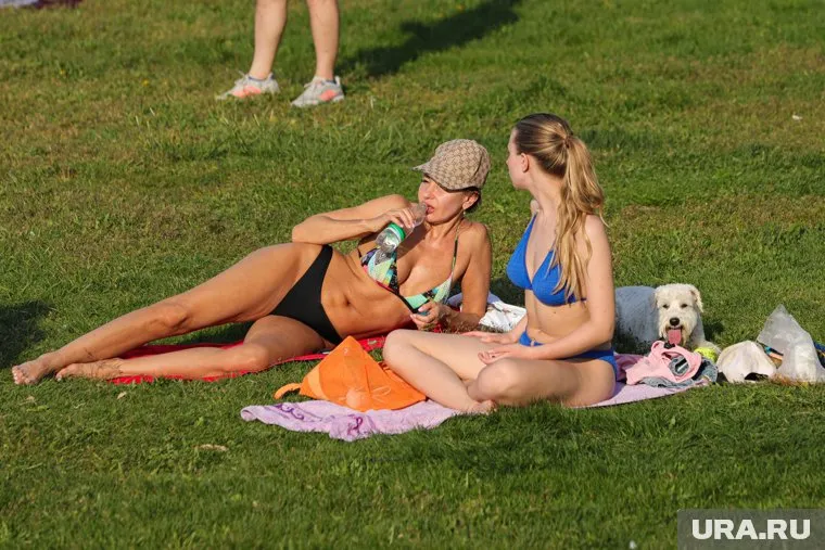 Следующая неделя обещает быть теплее предыдущей