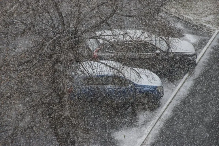 Первый снег. Плохая видимость. Курган