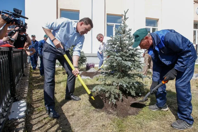 Ферма. Сажино