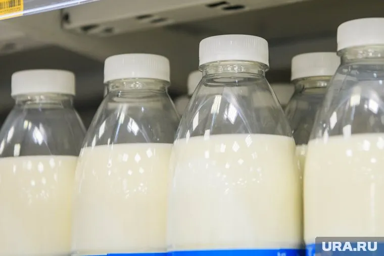 Молоко подорожало на 4,6%