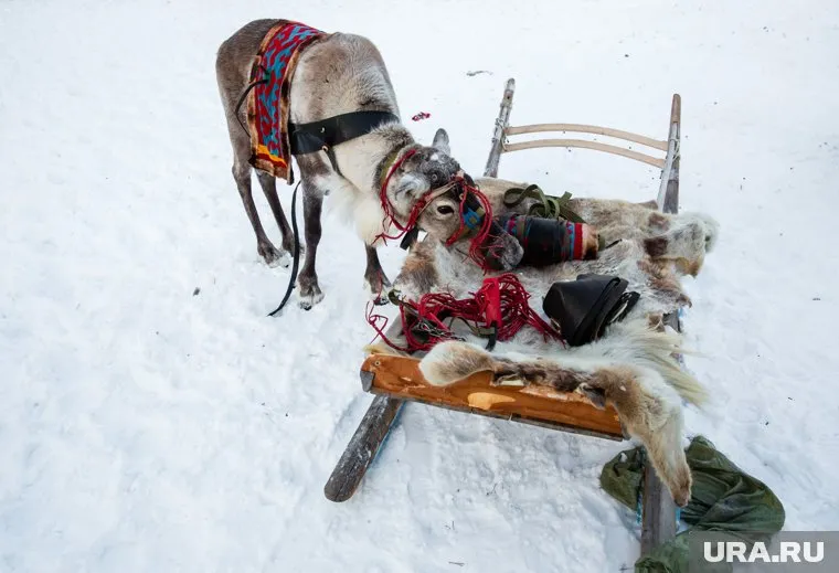 Пострадавших доставили в поселок, никто не пострадал