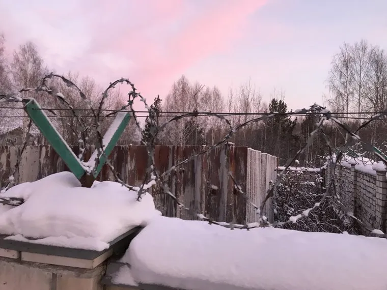 Скотомогильник ( НЕОБРАЬОТАННЫЕ)