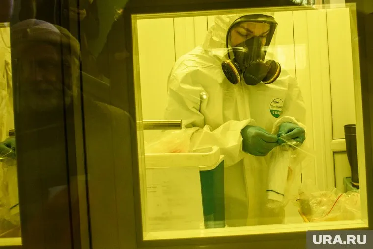 Ученые из «Сколково» патентуют новый способ борьбы с патогенными организмами