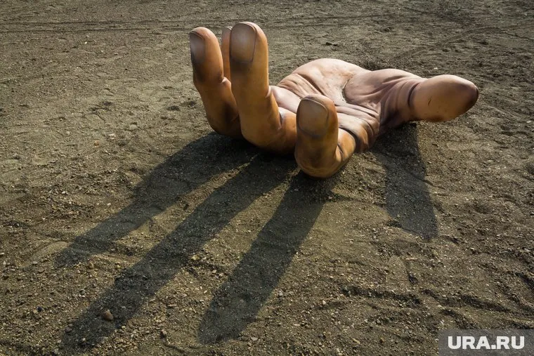 Сейчас семья Шминке ищет тех, кто готов помогать строить арт-объект на фестивале Burning Man