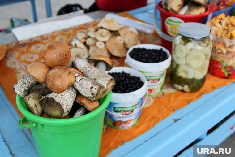 Жители Ишимского района делятся в соцсетях фотографиями собранного урожая дикоросов