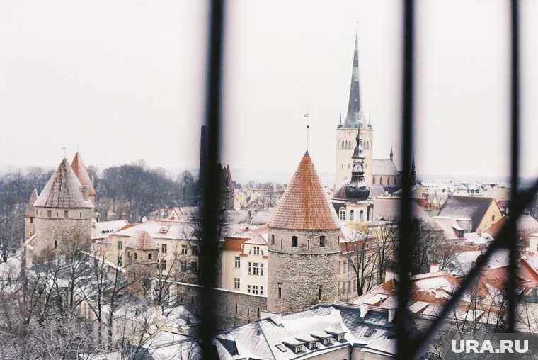 Эстония планирует создать военную базу с Россией на 250 человек