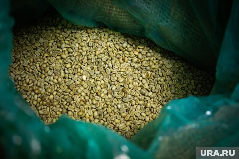 Украинское зерно через Черное море планируется начать вывозить через несколько дней