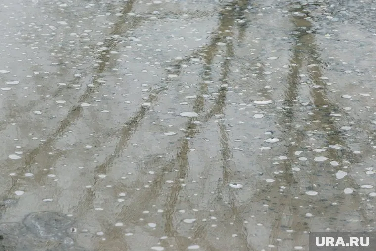 С приходом весны снег начал таять и образовалась большая лужа