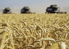 Компания семьи тюменского олигарха, где курганцы устраивали бунт, в 26 раз сократила прибыль