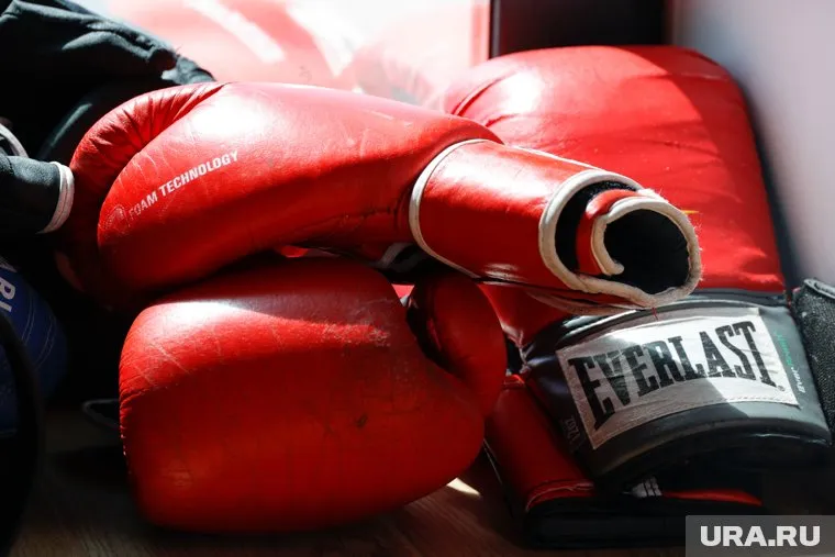 Перчатки получит боец за волю к победе