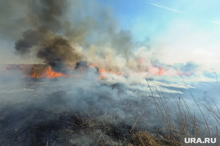 В селе Деево загорелись пилорамы посреди поля (архивное фото)