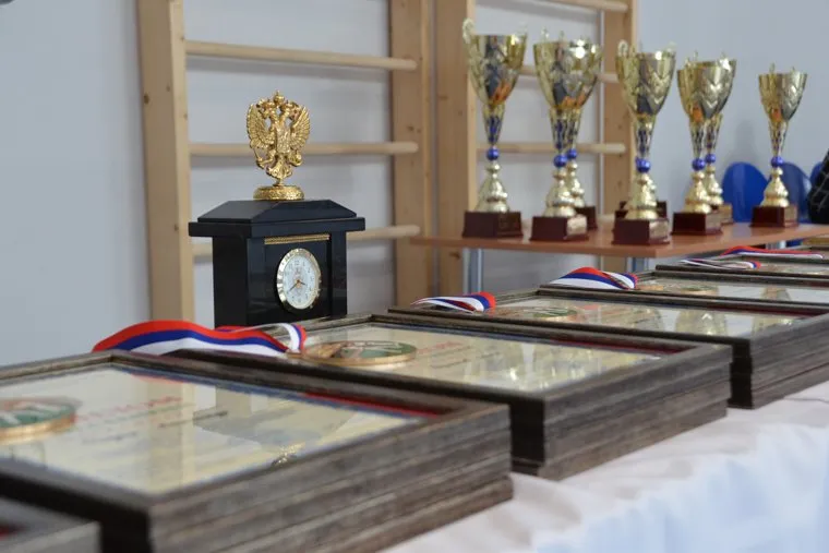 Турнир был посвящен 100-летию общества «Динамо»