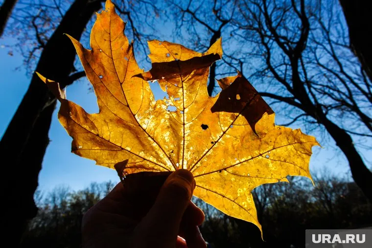 Росгидромет порадовал россиян прогнозом на Ноябрь