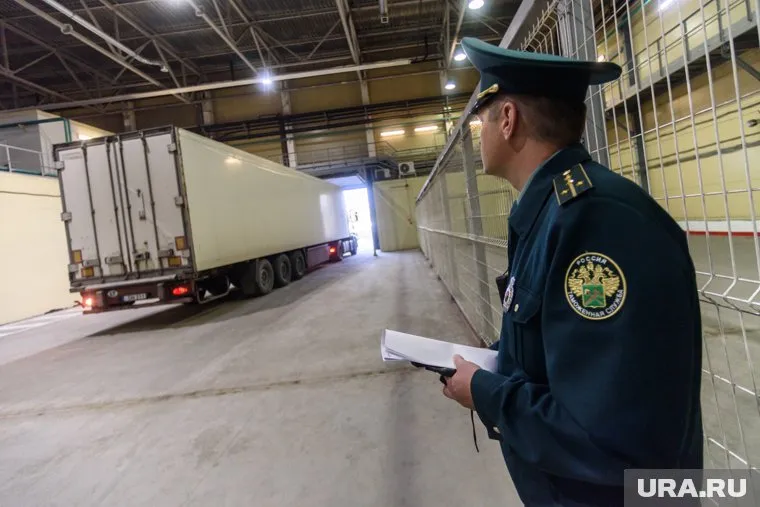 В ходе проверки таможенники выявили, что дерево перевозилось незаконно