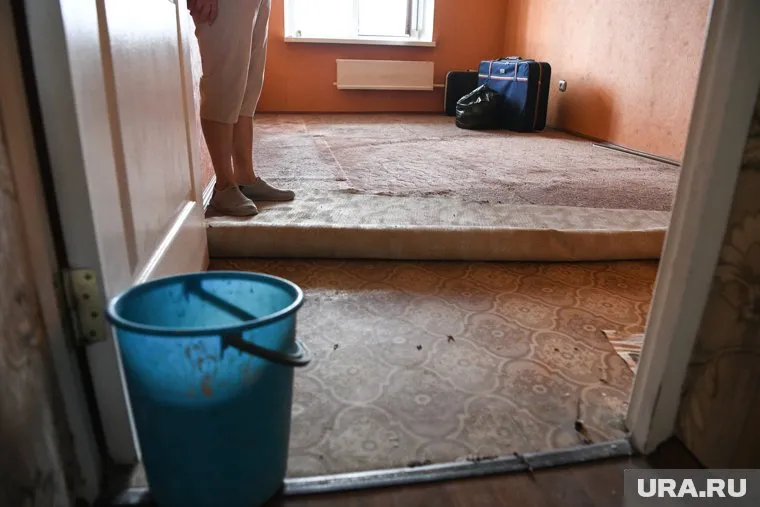 Из-за осадков стены квартиры покрылись плесенью, а мебель жильцам пришлось выкинуть