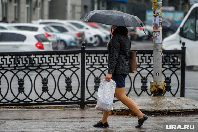 Климат в России обновится уже в этом году