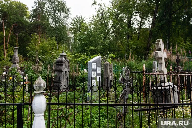 Цены в РФ за последний год выросли почти на все продукты и услуги