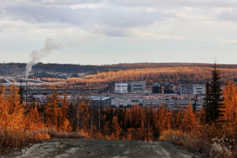 У «Битцевского маньяка» нет противопоказаний для пребывания в «Полярной сове»