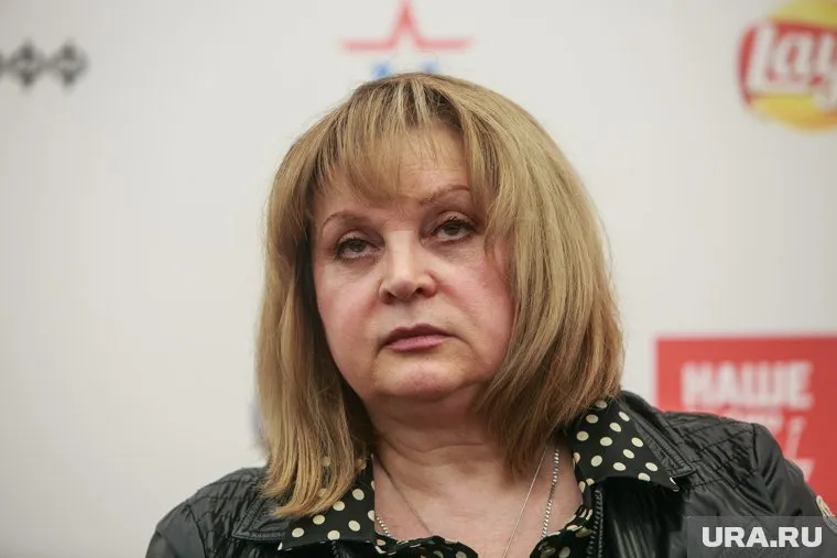 Злоумышленник напал на дом Эллы Памфиловой ночью