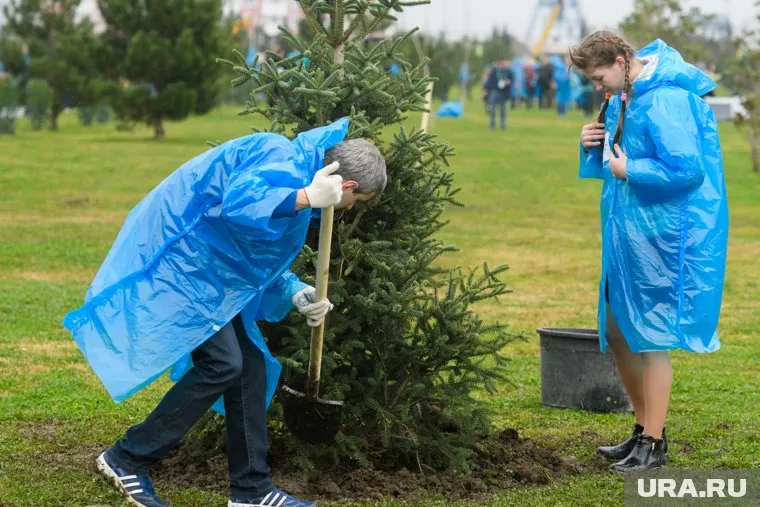 Не бойтесь слухов — правда страшнее