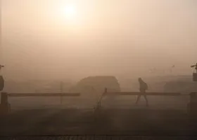 Фотография из галереи