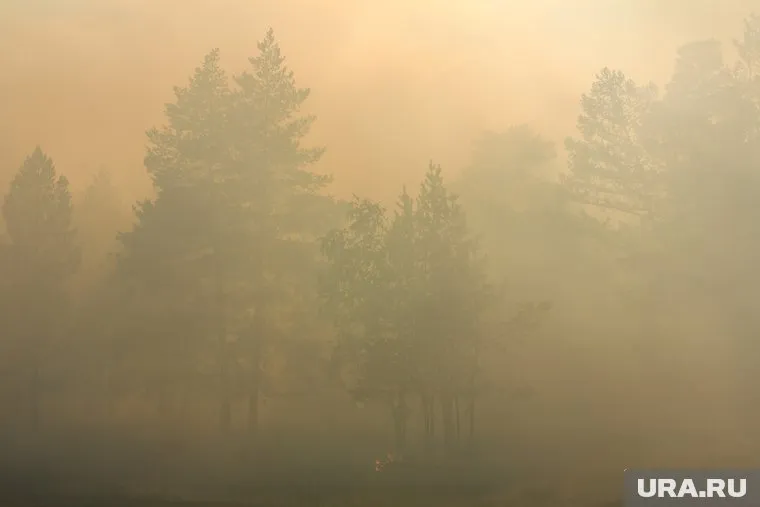 В лесном массиве в Челябинске загорелась трава (фото из архива)