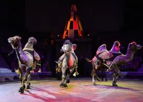 Школьники из ЛНР побывали на цирковом шоу в Перми