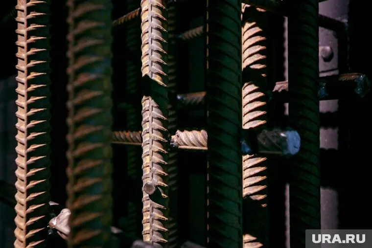 Директор ФСИН ранее предложил заменить трудовых мигрантов на крупных объектах