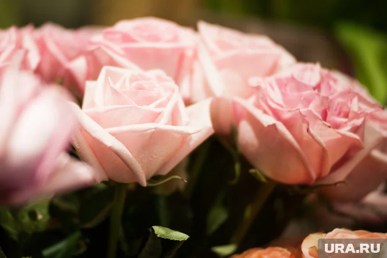 Цветочные салоны ожидают рост продаж в праздник